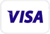 visa icone